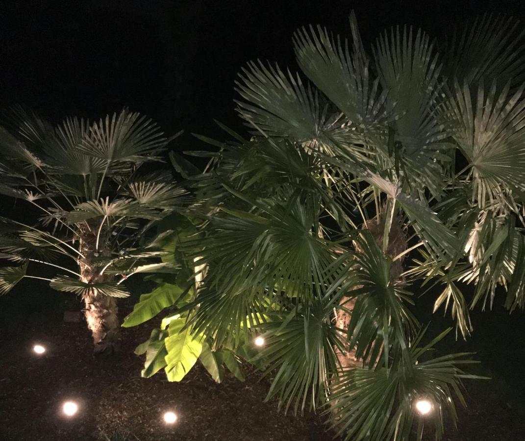 Ferienwohnung Palmengarten Lichtenstein  Esterno foto
