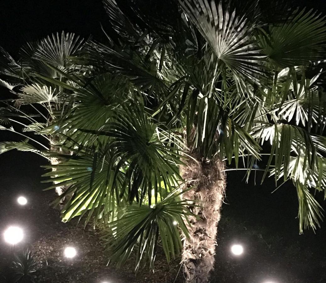 Ferienwohnung Palmengarten Lichtenstein  Esterno foto