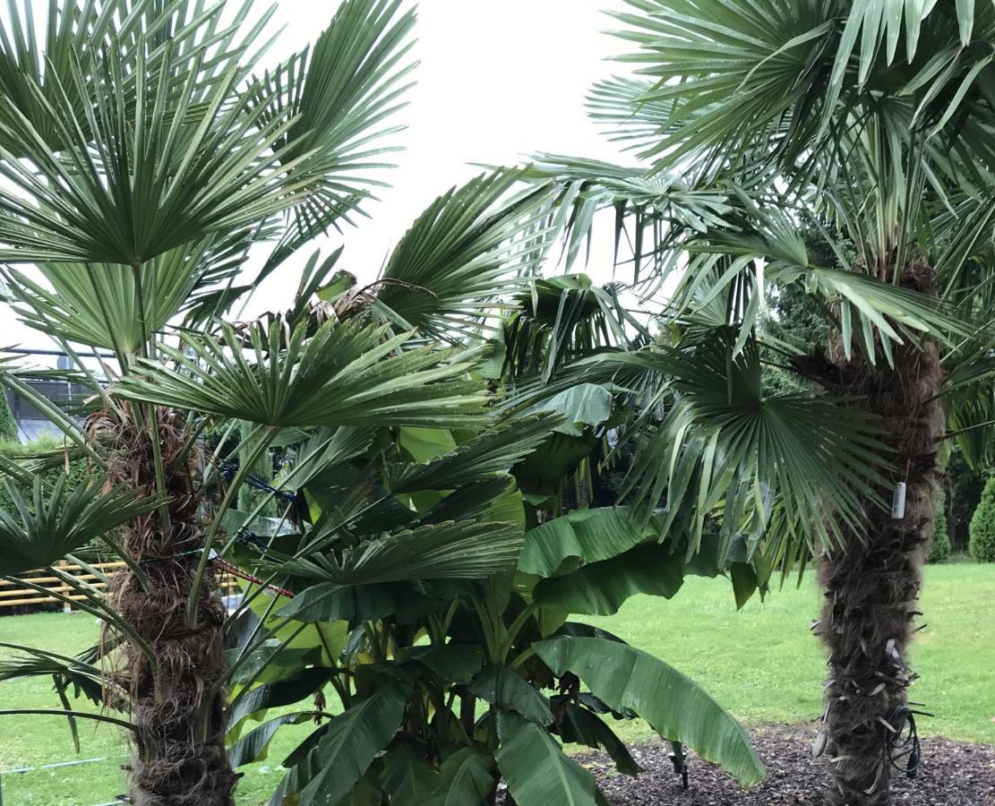Ferienwohnung Palmengarten Lichtenstein  Esterno foto