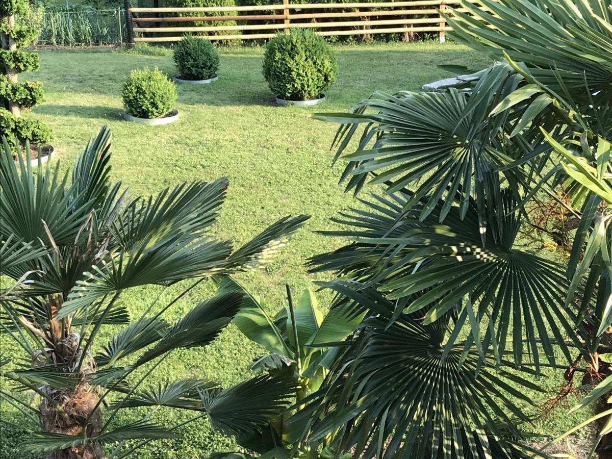 Ferienwohnung Palmengarten Lichtenstein  Esterno foto