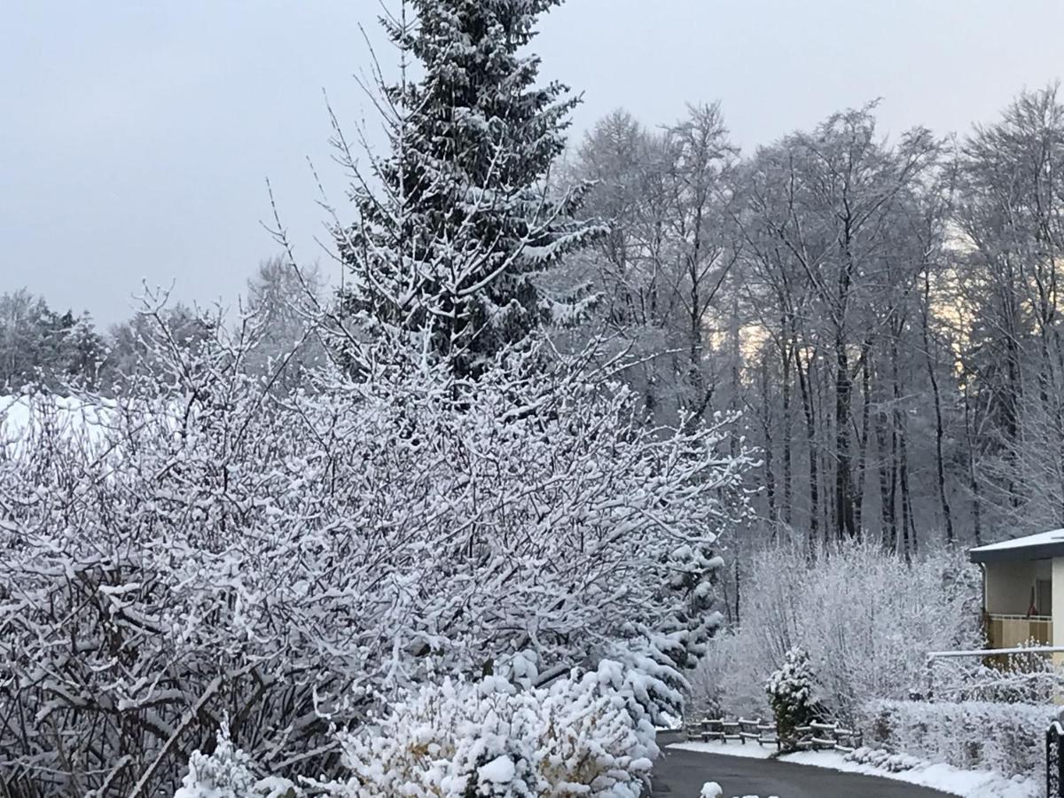 Ferienwohnung Palmengarten Lichtenstein  Esterno foto