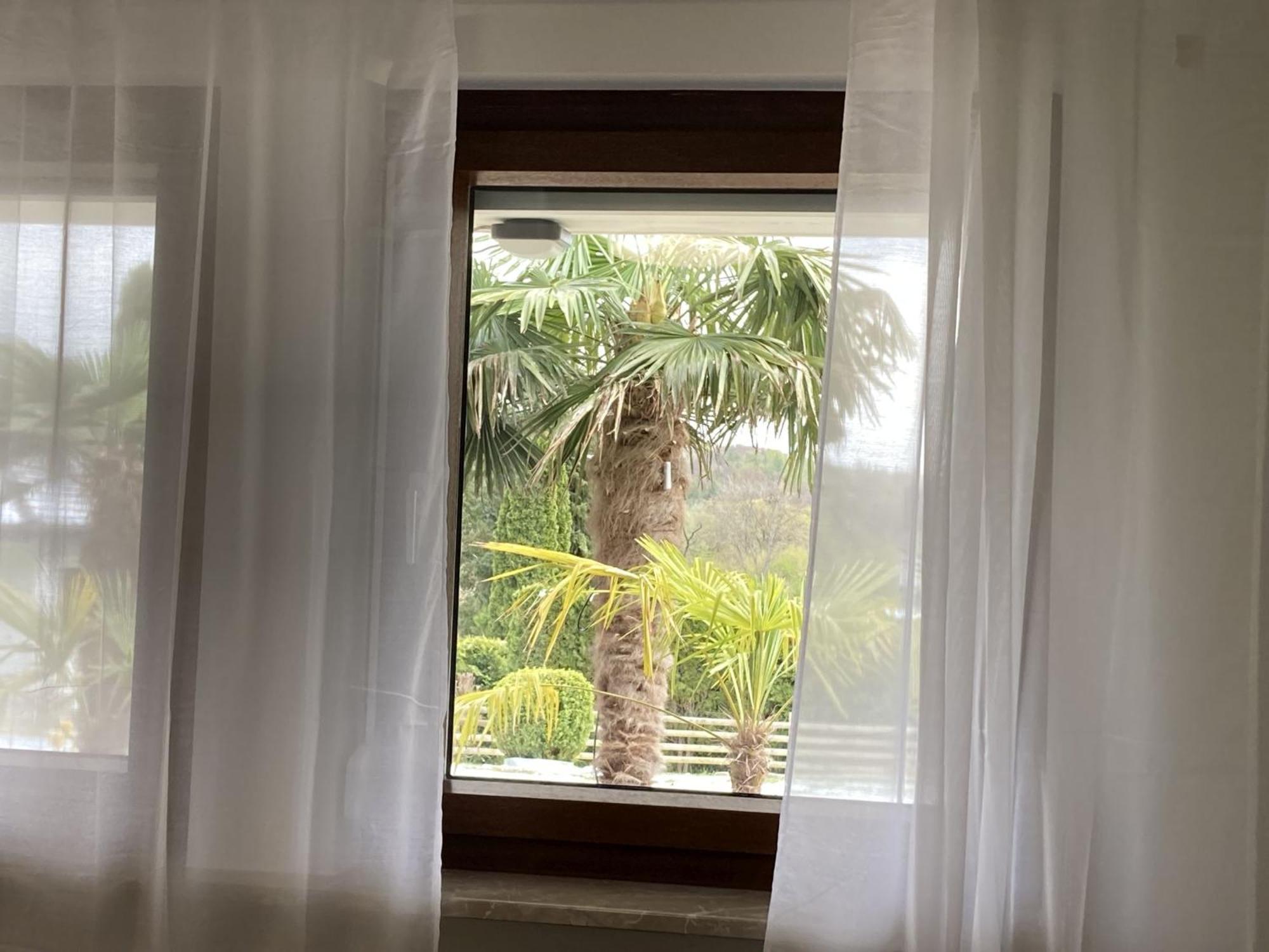Ferienwohnung Palmengarten Lichtenstein  Esterno foto